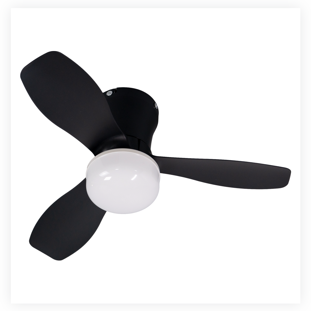 Home - 010 Ceiling Fan