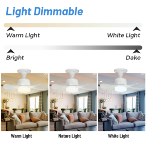 Ventilador Manufacturer 16 Inch 2 in1 Ceiling Fan Light Remote Control E27 23w LED Ceiling Fan with Light - 色温